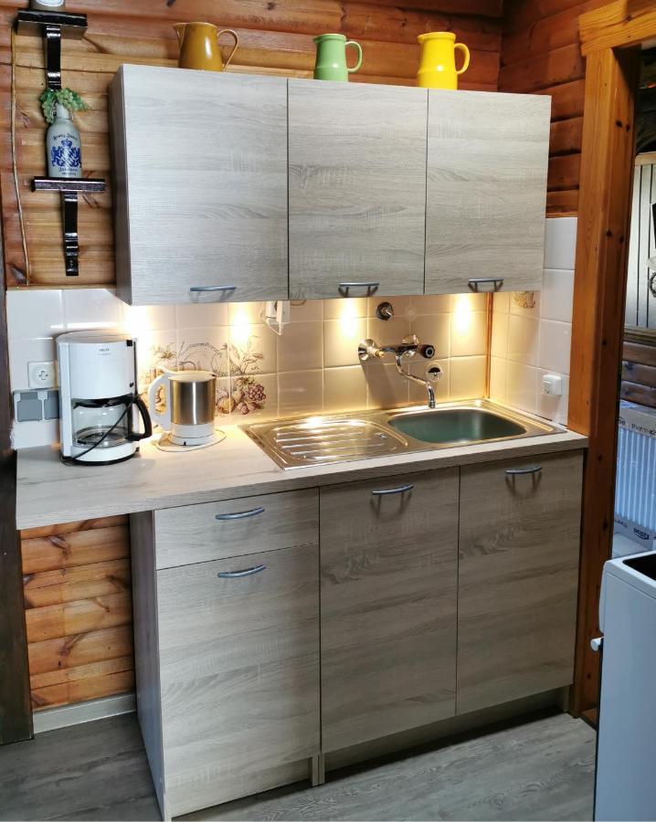 Appartement Ferienblockhaus Harzidyll à Wieda Extérieur photo